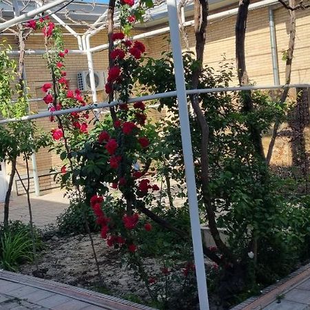 Hostel Muborak Szamarkand Kültér fotó