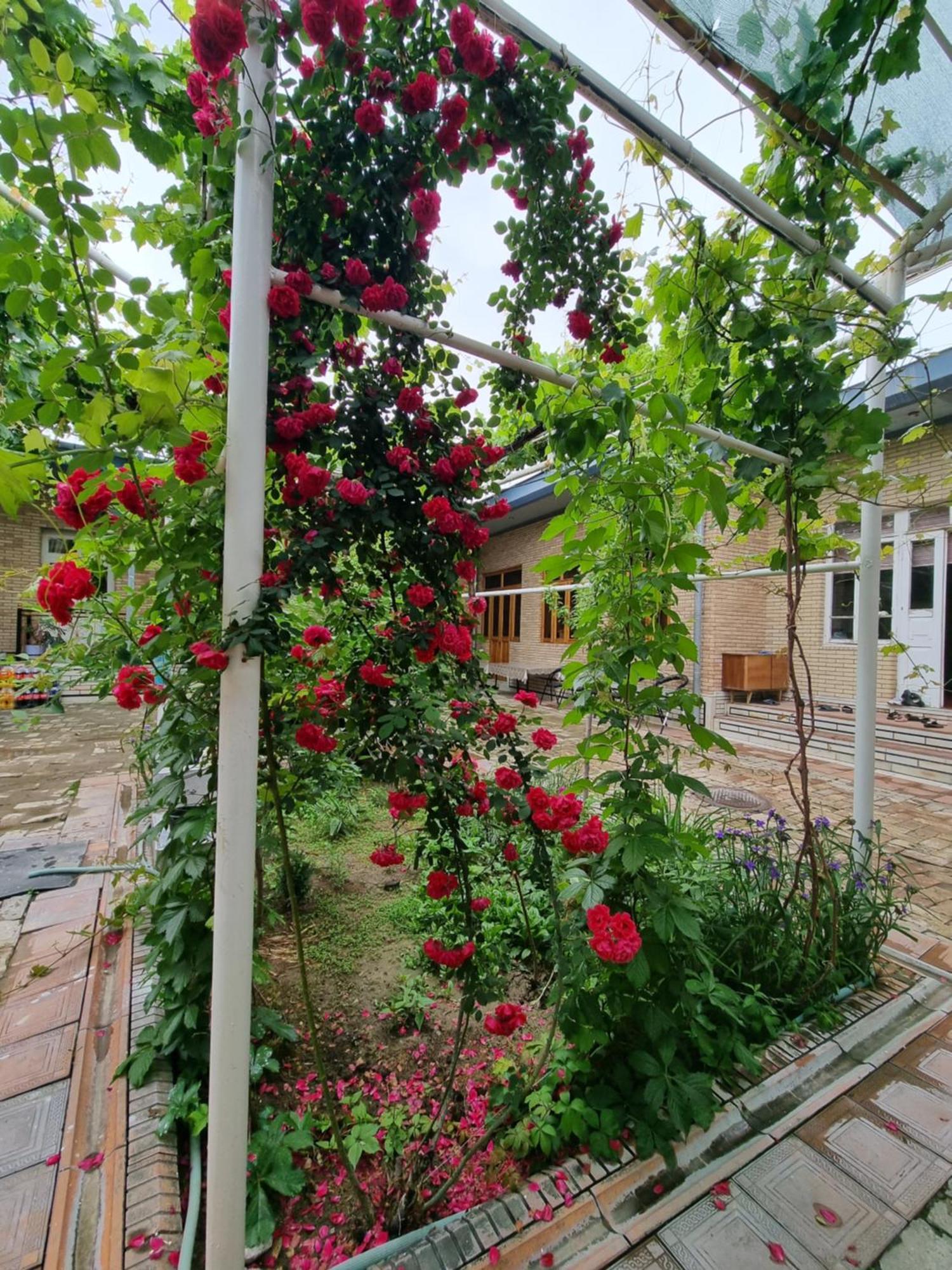 Hostel Muborak Szamarkand Kültér fotó