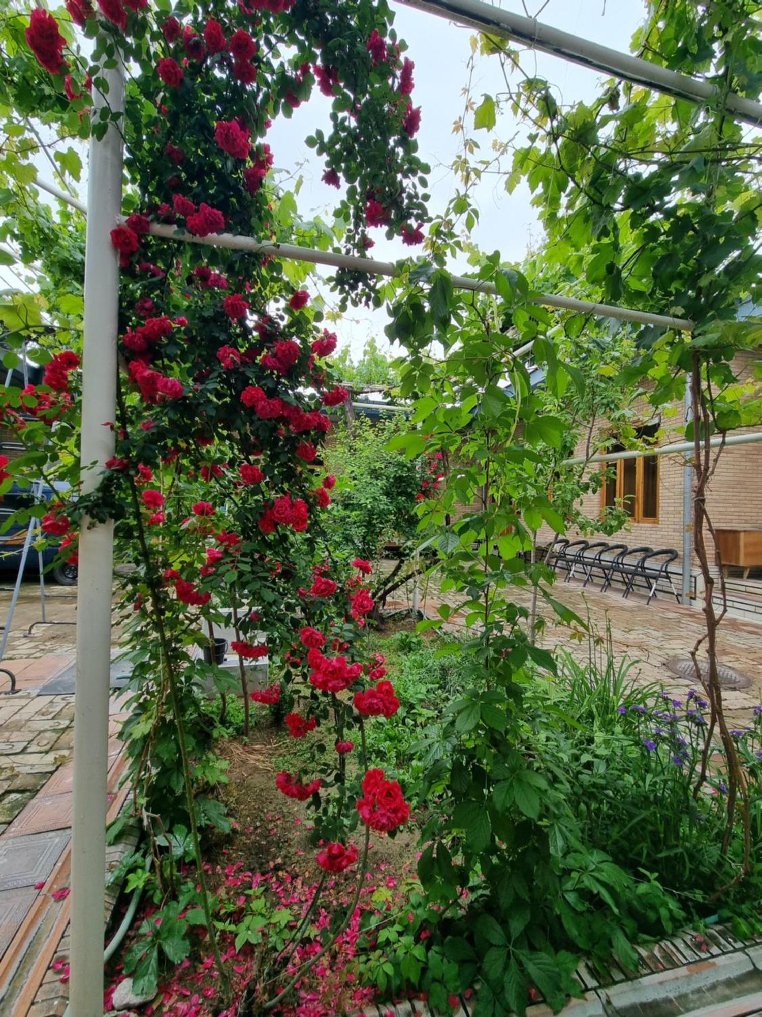 Hostel Muborak Szamarkand Kültér fotó